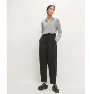 Everlane The TENCEL Relaxed Baggy Chino Pants Size 8